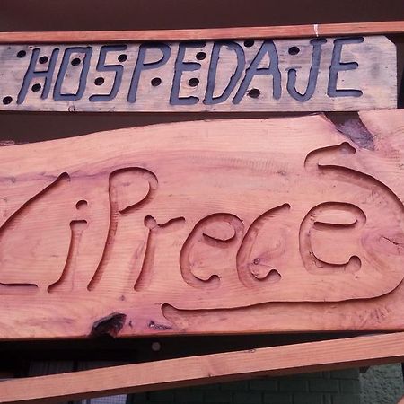 Hospedaje Los Cipreses Coyhaique Esterno foto
